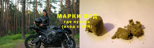 ПСИЛОЦИБИНОВЫЕ ГРИБЫ Богданович