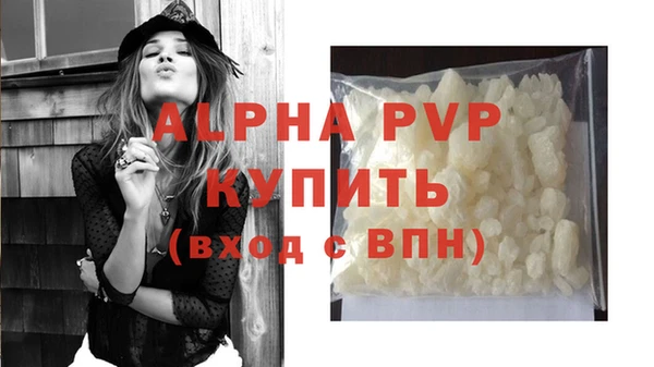 ПСИЛОЦИБИНОВЫЕ ГРИБЫ Богданович
