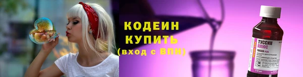 ПСИЛОЦИБИНОВЫЕ ГРИБЫ Богданович