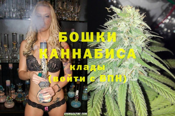 ПСИЛОЦИБИНОВЫЕ ГРИБЫ Богданович