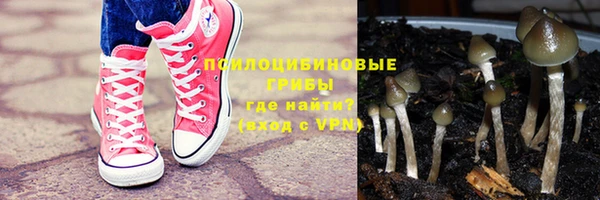 ПСИЛОЦИБИНОВЫЕ ГРИБЫ Богданович