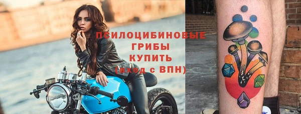 МДПВ Бугульма
