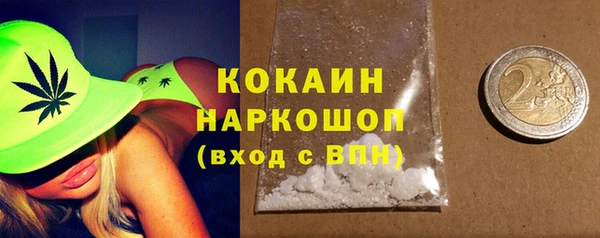 ПСИЛОЦИБИНОВЫЕ ГРИБЫ Богданович